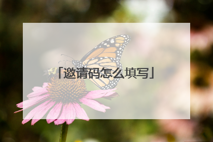 邀请码怎么填写