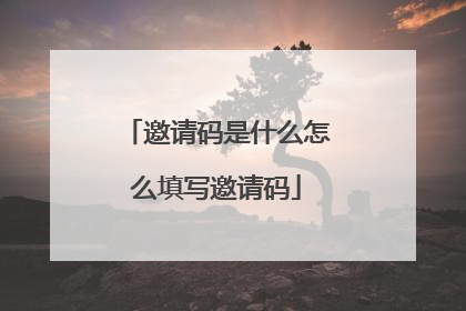 邀请码是什么怎么填写邀请码