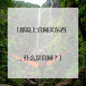 都说上官网买东西，什么是官网？