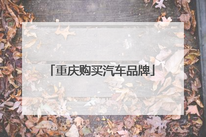 重庆购买汽车品牌