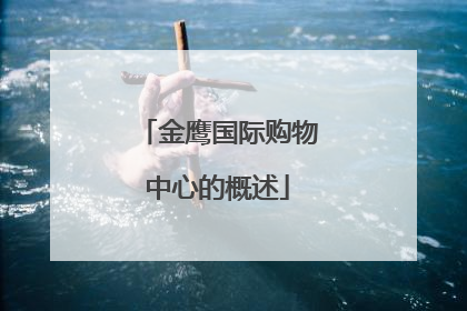 金鹰国际购物中心的概述