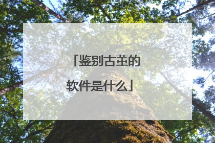 鉴别古董的软件是什么