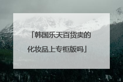 韩国乐天百货卖的化妆品上专柜版吗