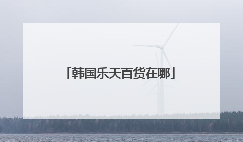 韩国乐天百货在哪