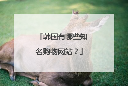 韩国有哪些知名购物网站？