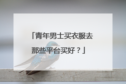 青年男士买衣服去那些平台买好？