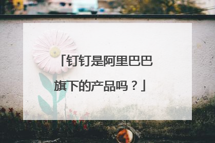 钉钉是阿里巴巴旗下的产品吗?