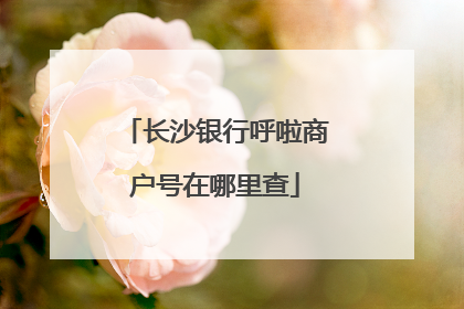 长沙银行呼啦商户号在哪里查