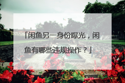 闲鱼另一身份曝光,闲鱼有哪些违规操作?