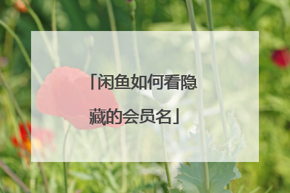 闲鱼如何看隐藏的会员名
