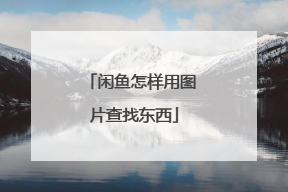 闲鱼怎样用图片查找东西