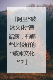 阿里“破冰文化”遭诟病,有哪些比较好的“破冰文化”?