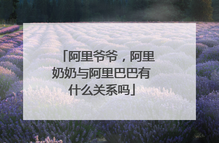 阿里爷爷，阿里奶奶与阿里巴巴有什么关系吗