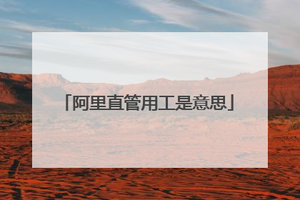 阿里直管用工是意思