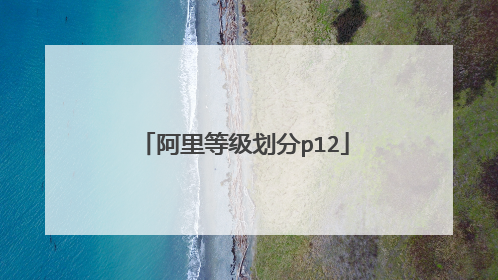 阿里等级划分p12