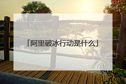 阿里破冰行动是什么