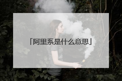 阿里系是什么意思