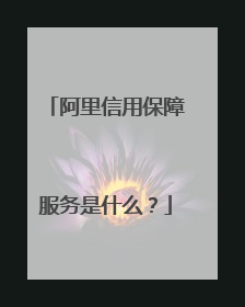 阿里信用保障服务是什么?