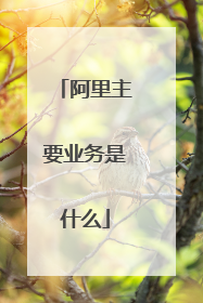 阿里主要业务是什么