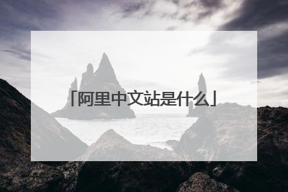 阿里中文站是什么
