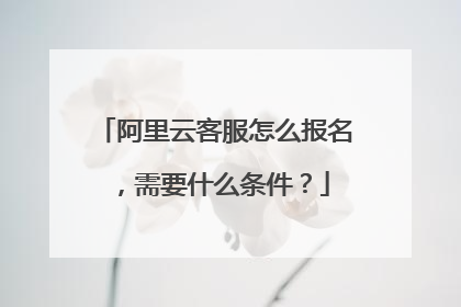 阿里云客服怎么报名,需要什么条件?