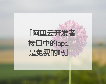 阿里云开发者接口中的api是免费的吗