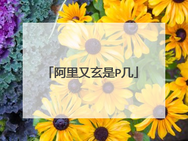 阿里又玄是P几