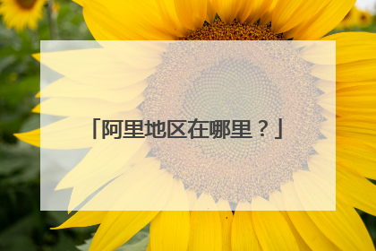 阿里地区在哪里?