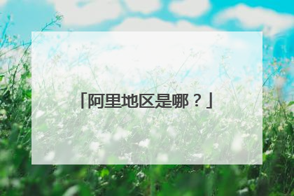 阿里地区是哪?