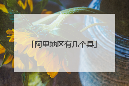 阿里地区有几个县
