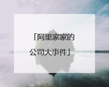 阿里家家的公司大事件