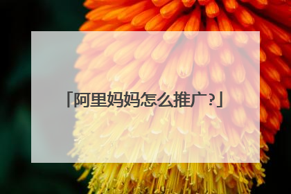 阿里妈妈怎么推广?