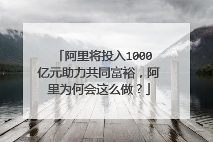 阿里将投入1000亿元助力共同富裕,阿里为何会这么做?