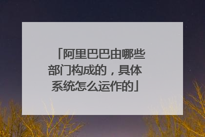 阿里巴巴由哪些部门构成的，具体系统怎么运作的