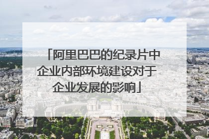 阿里巴巴的纪录片中企业内部环境建设对于企业发展的影响