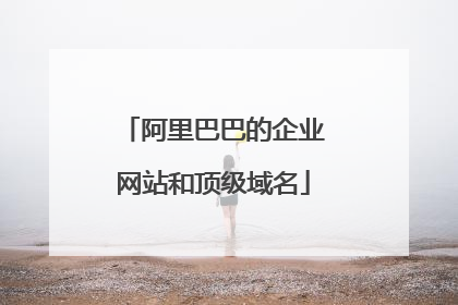 阿里巴巴的企业网站和顶级域名