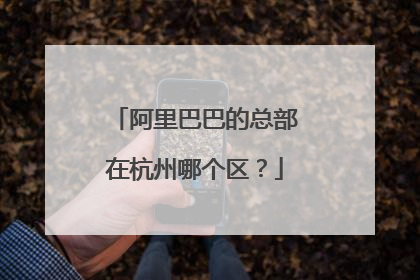 阿里巴巴的总部在杭州哪个区？
