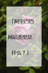 阿里巴巴网站类型是什么?