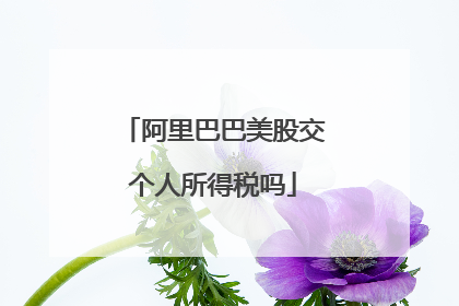 阿里巴巴美股交个人所得税吗