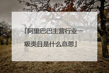 阿里巴巴主营行业一级类目是什么意思