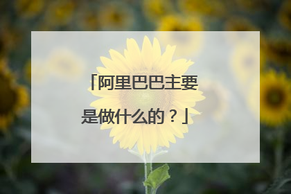 阿里巴巴主要是做什么的？