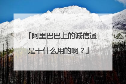 阿里巴巴上的诚信通是干什么用的啊?