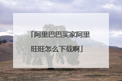 阿里巴巴买家阿里旺旺怎么下载啊