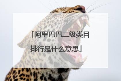 阿里巴巴二级类目排行是什么意思