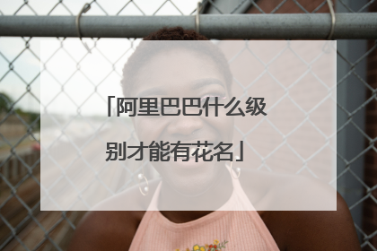阿里巴巴什么级别才能有花名