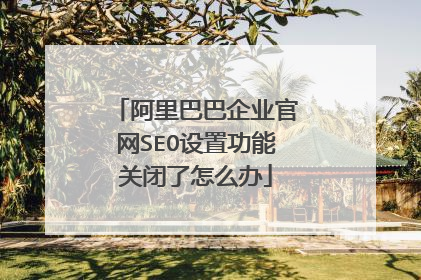 阿里巴巴企业官网SEO设置功能关闭了怎么办