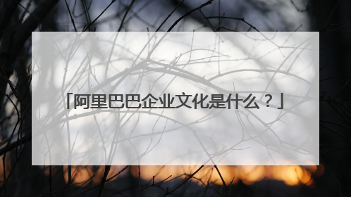 阿里巴巴企业文化是什么?