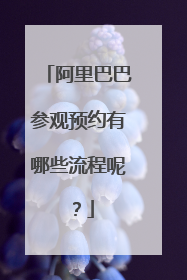 阿里巴巴参观预约有哪些流程呢？