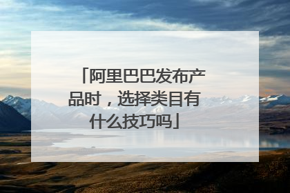 阿里巴巴发布产品时,选择类目有什么技巧吗