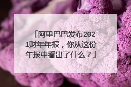阿里巴巴发布2021财年年报,你从这份年报中看出了什么?